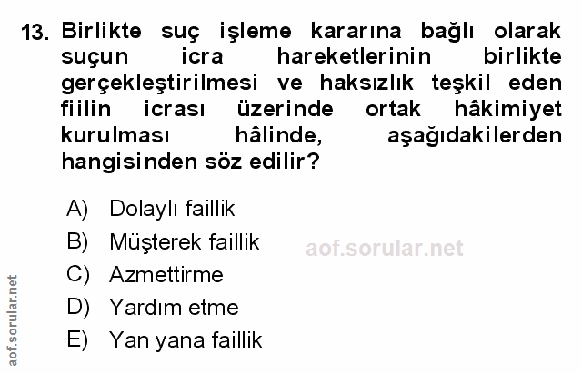 Soru 13
