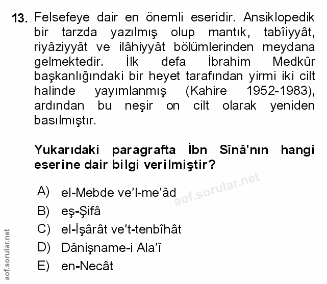 Soru 13