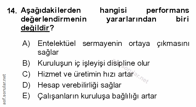 Soru 14