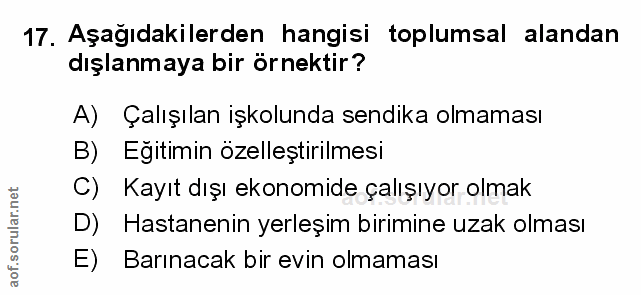 Soru 17