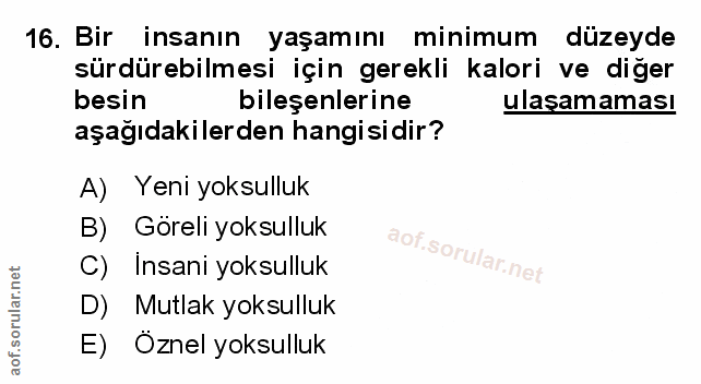 Soru 16