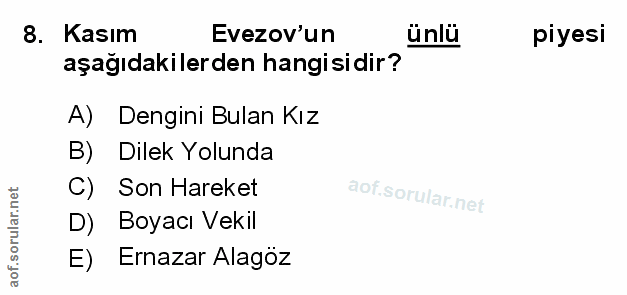 Soru 8