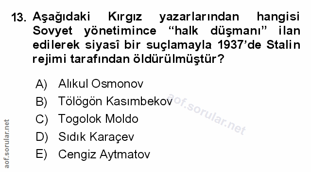 Soru 13