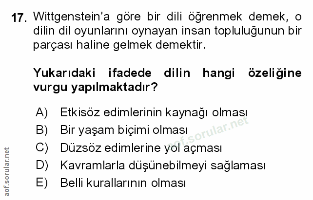 Soru 17