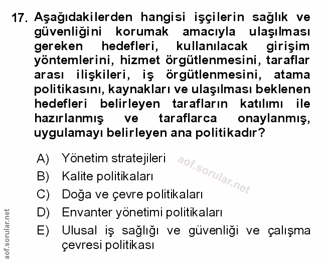 Soru 17