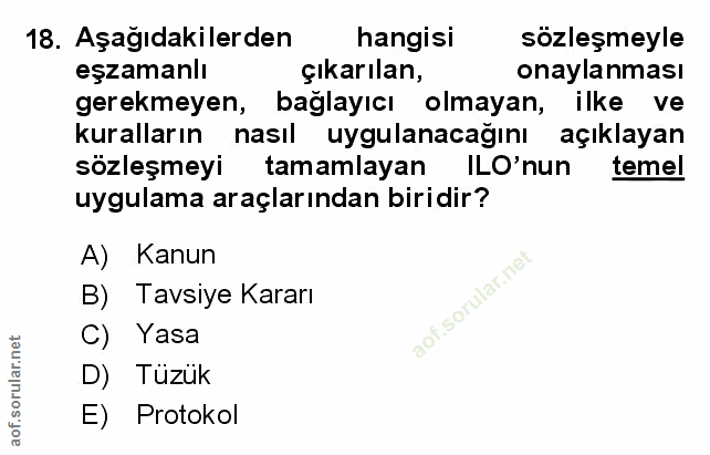 Soru 18