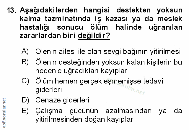 Soru 13