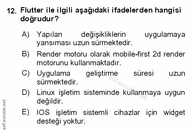 Soru 12