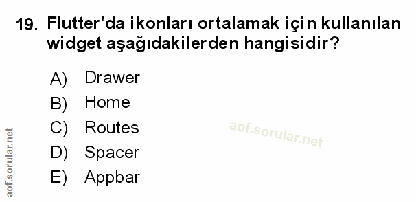 Soru 19