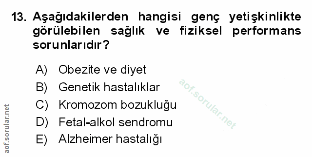 Soru 13