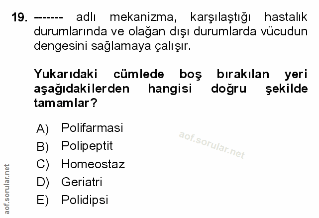 Soru 19