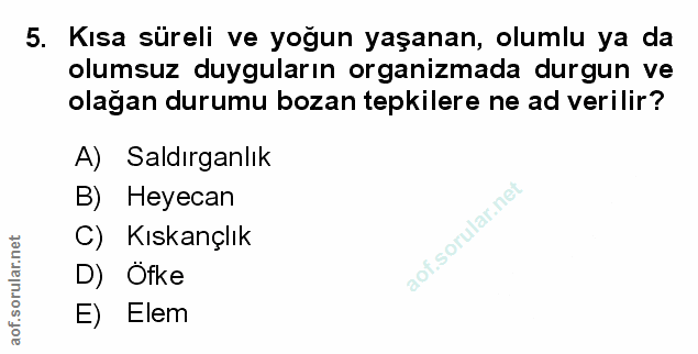Soru 5