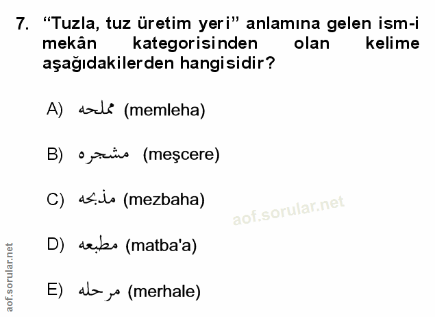 Soru 7