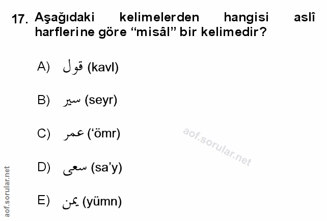 Soru 17