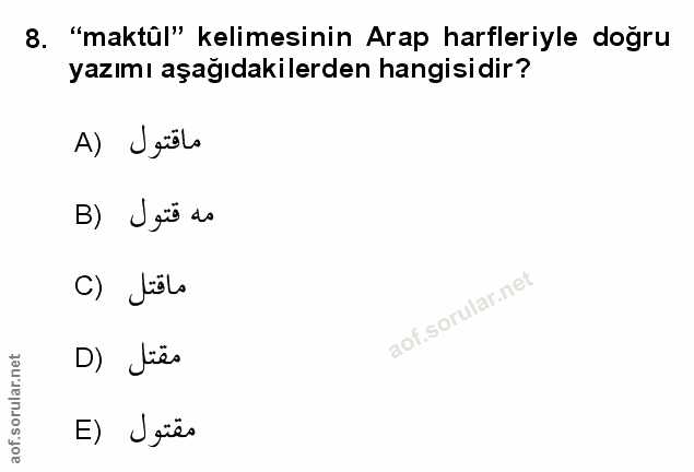 Soru 8