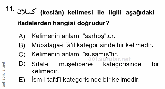 Soru 11