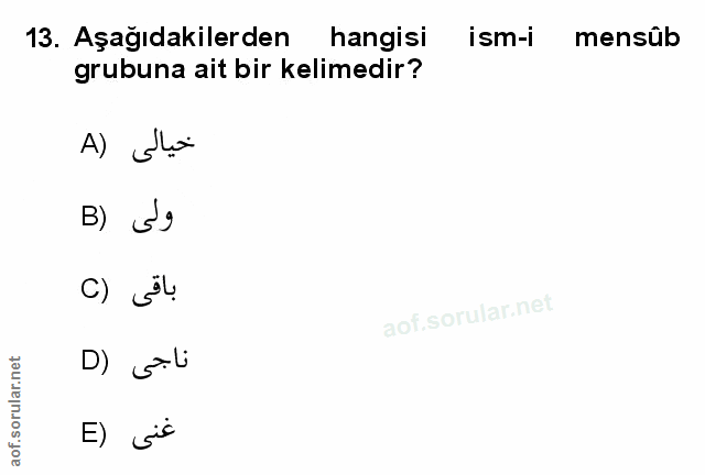 Soru 13