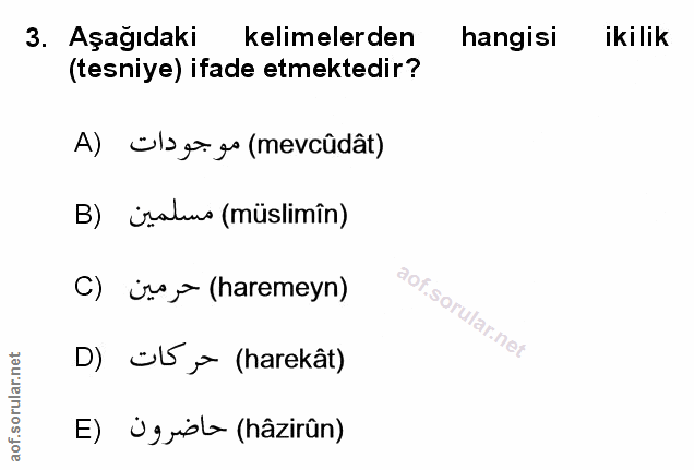 Soru 3