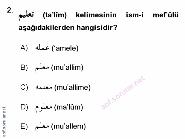 Soru 2