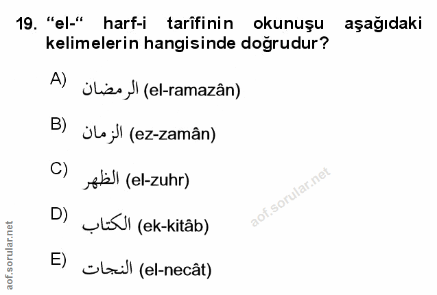 Soru 19