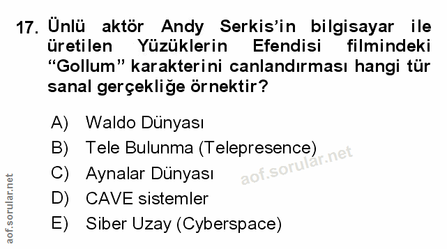 Soru 17
