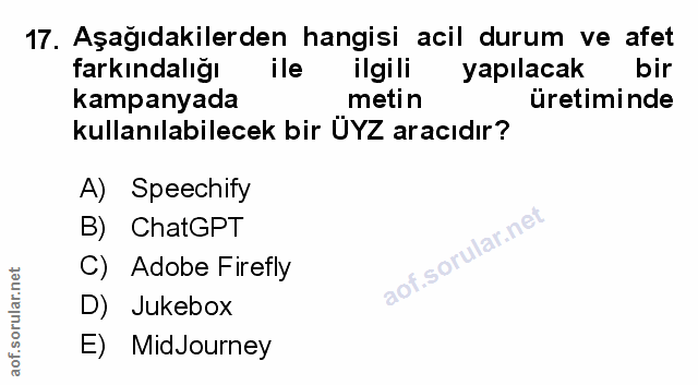 Soru 17