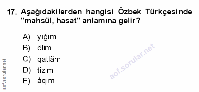 Soru 17