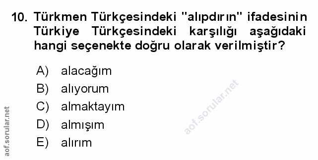 Soru 10