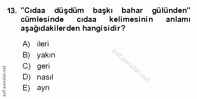 Soru 13