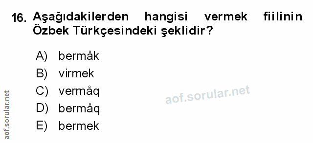 Soru 16
