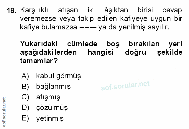 Soru 18