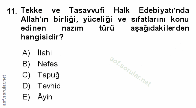 Soru 11