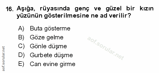 Soru 16