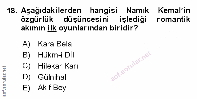 Soru 18