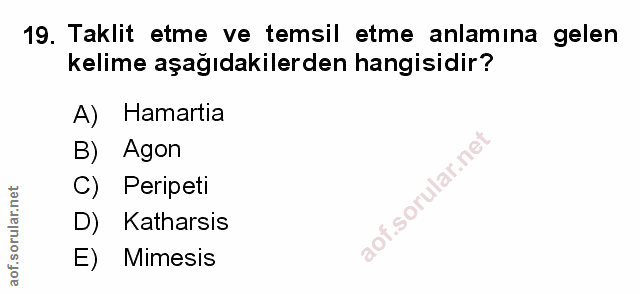 Soru 19