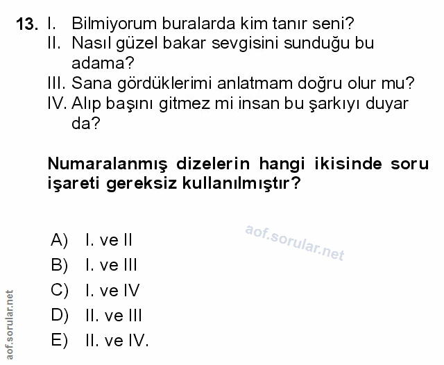 Soru 13