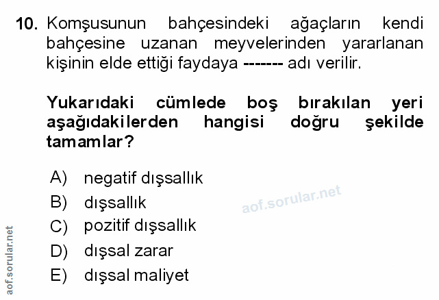 Soru 10