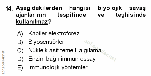 Soru 14