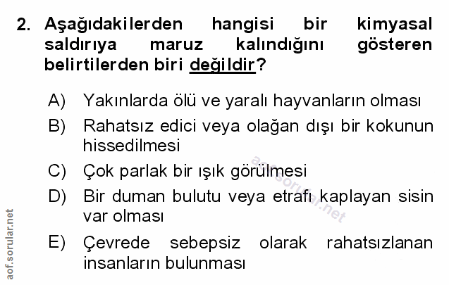 Soru 2
