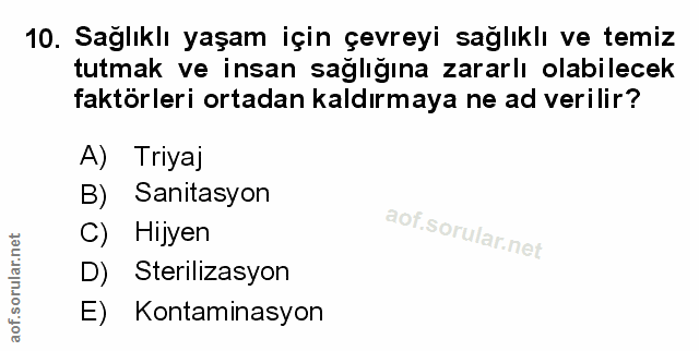 Soru 10