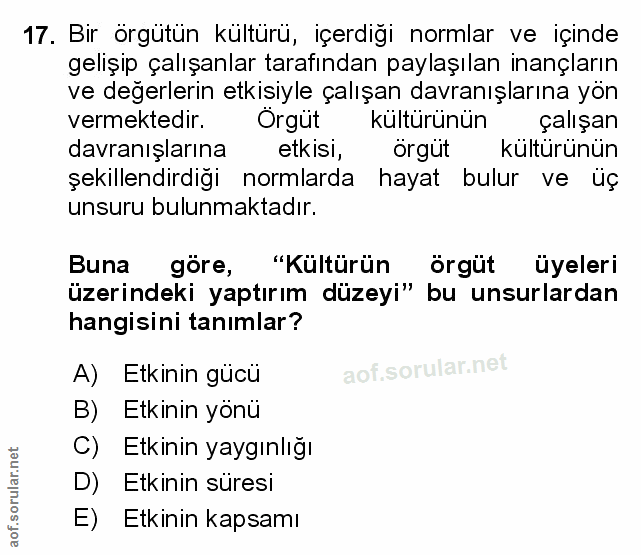 Soru 17