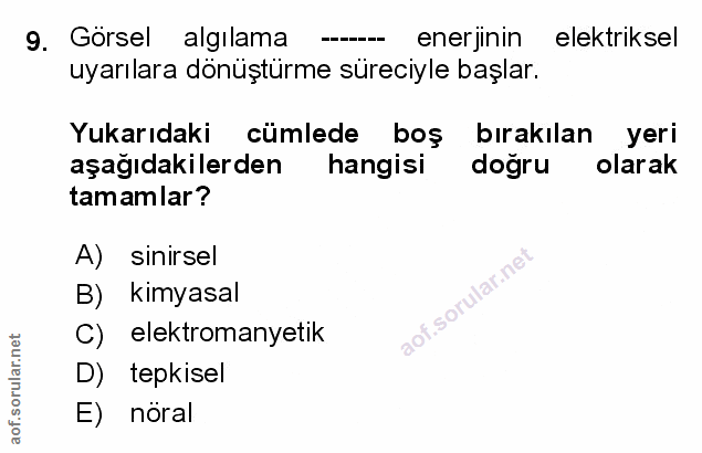 Soru 9