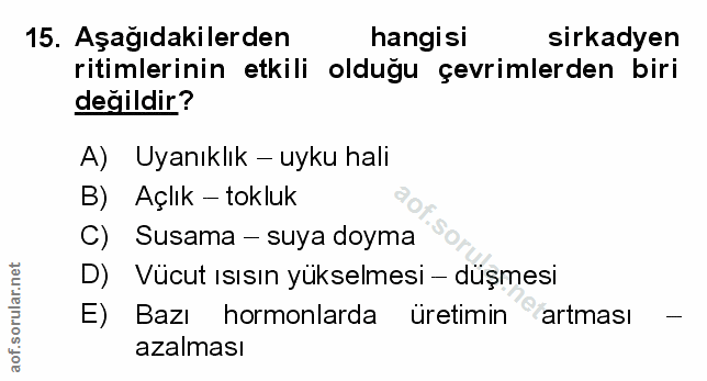 Soru 15