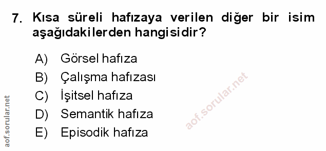 Soru 7