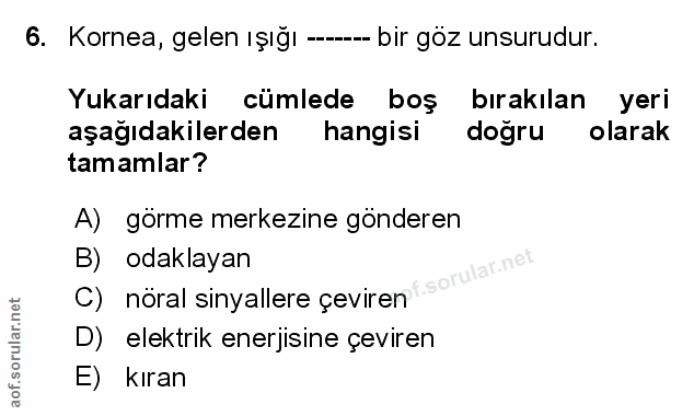Soru 6