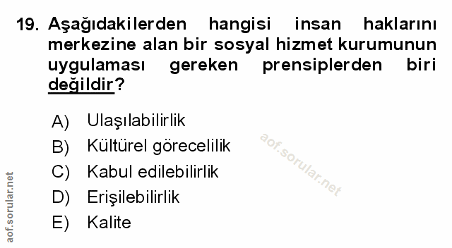 Soru 19