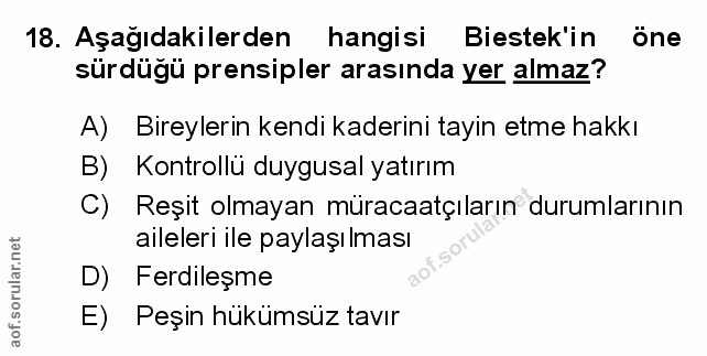 Soru 18