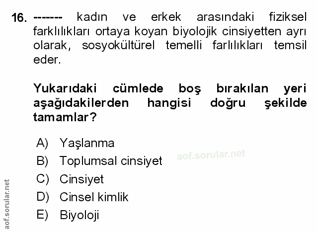 Soru 16