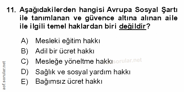 Soru 11