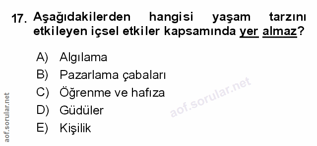 Soru 17